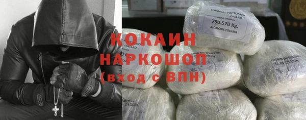сатива Ладушкин