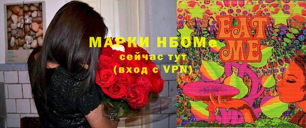 прущие грибы Лагань