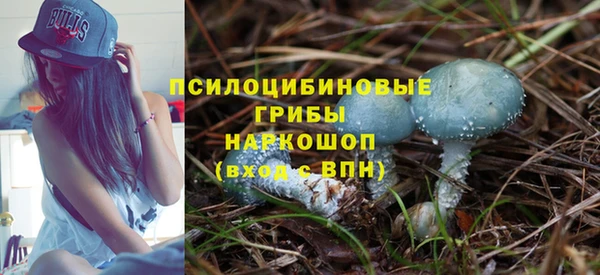 сатива Ладушкин