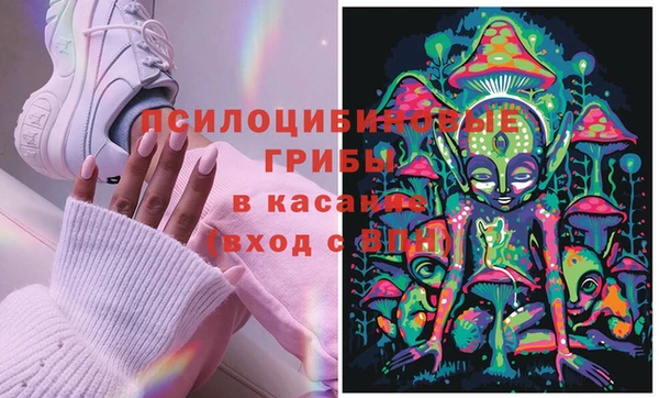 сатива Ладушкин