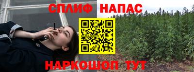 гашик Кинель