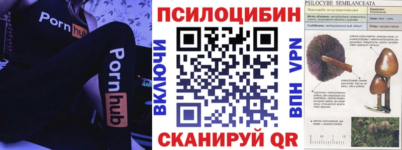 цены   Москва  mega ТОР  Псилоцибиновые грибы MAGIC MUSHROOMS 