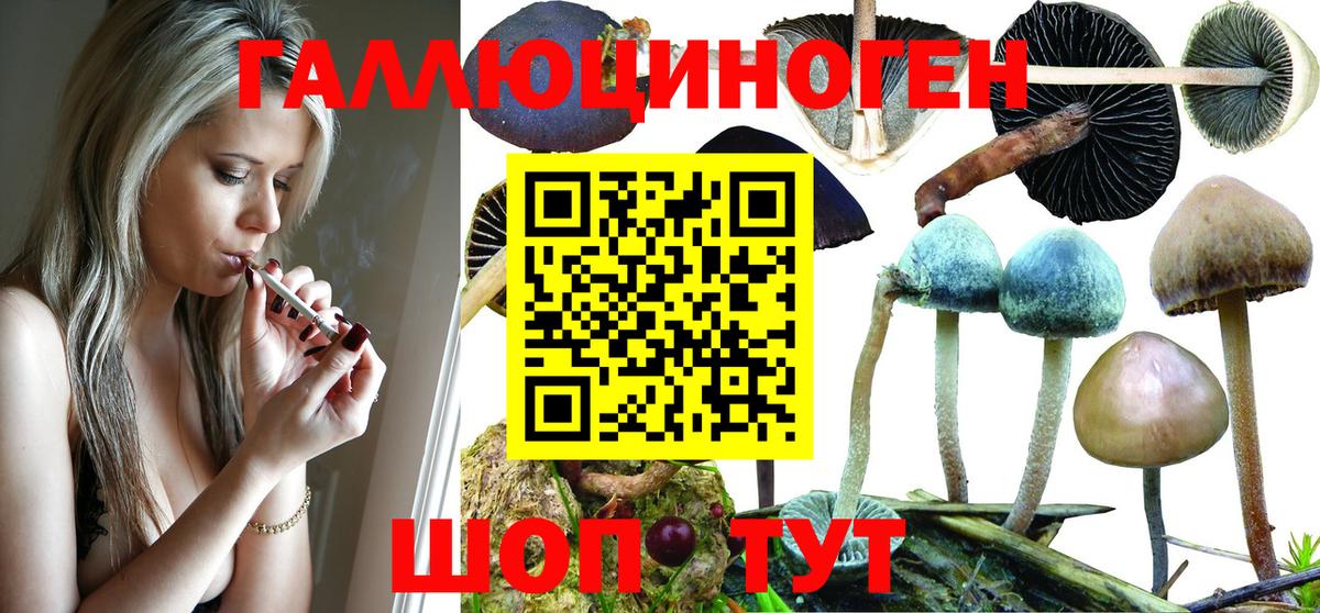 Галлюциногенные грибы Magic Shrooms Москва