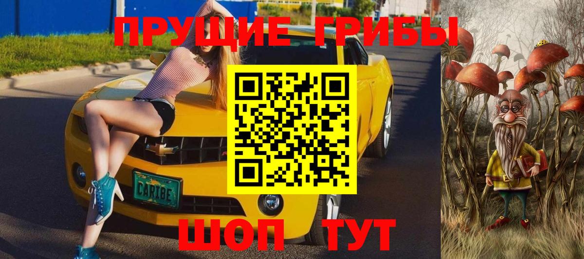 Псилоцибиновые грибы GOLDEN TEACHER  Вход с VPN  Москва 